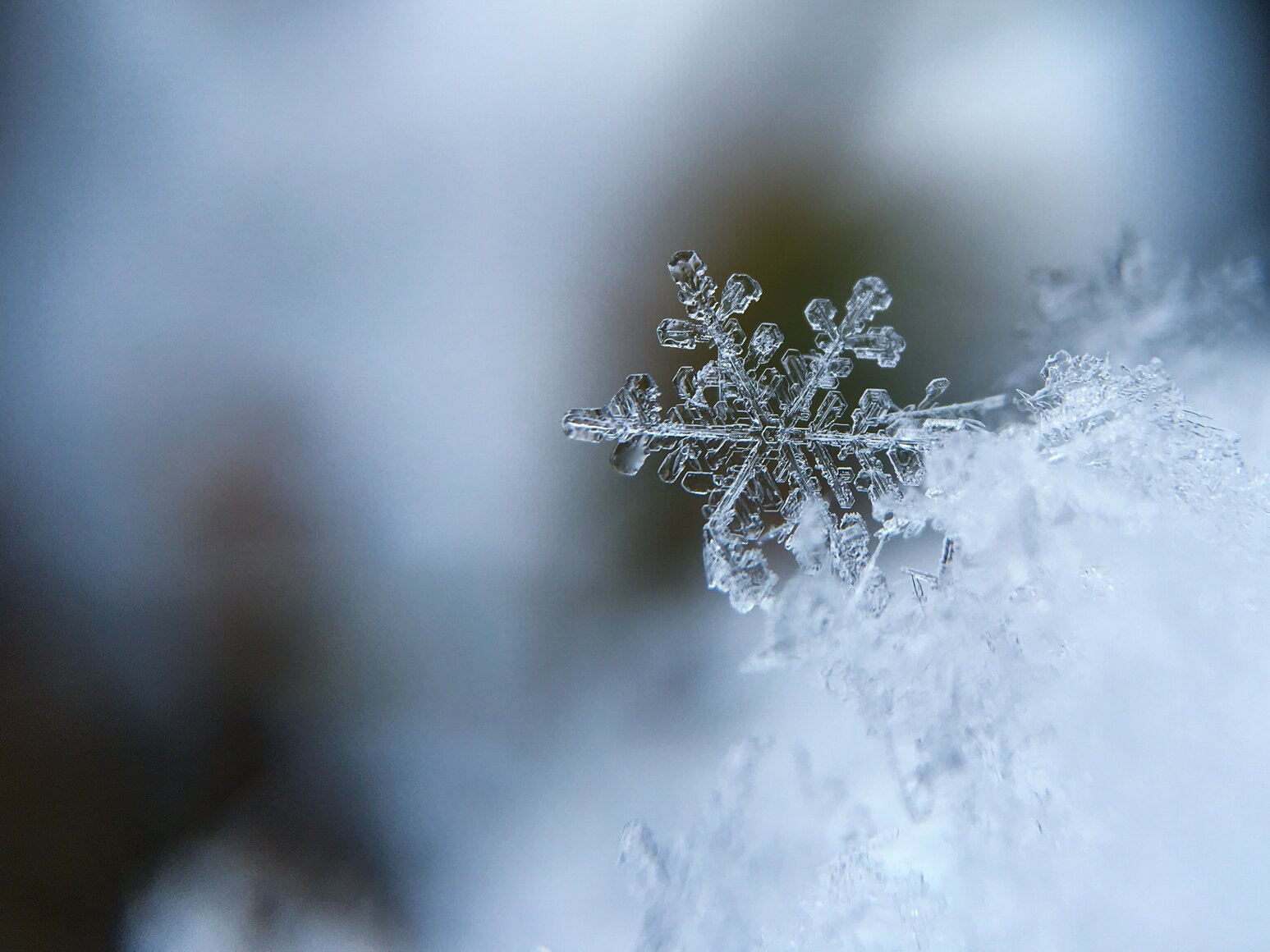 Travail Au Froid : Quels Sont Les Risques Et Comment Les Prévenir ...